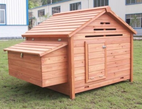 Chicken Coop House