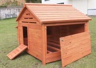 Chicken Coop House