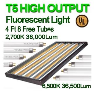 t5 high output