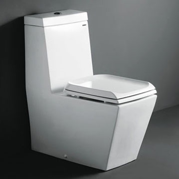 SaferWholesale Alessa - Royal Contemporary European Toilet with dual flush