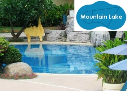 steel shaft and Neptune Complete 21'x35' Mountain Lake In Ground Swimming Pool Kit with Wood Supports