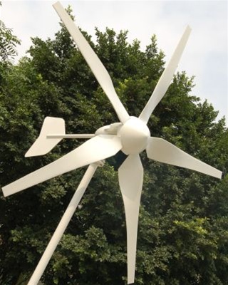 SaferWholesale Wind Turbine Complete System 1000 Watt (Sale Ends Tonight.)