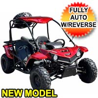 150cc Go Kart Full Size 2 Seater Go Kart Fully Automatic w/Reverse - T-REX 150CC