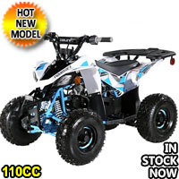 110cc Atv Fully Automatic Sport ATV 4 Wheeler - SPORTSTER 110