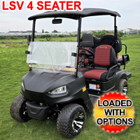 48V Electric Golf Cart 4 Seater Renegade X Edition Utility Golf UTV - BLACK