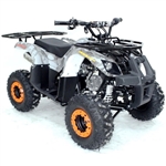 125cc Atv Fully Automatic w/Reverse Utility 4 Wheeler - ACE B125-7