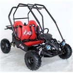 125cc Go Kart Automatic With Reverse - ACE G125
