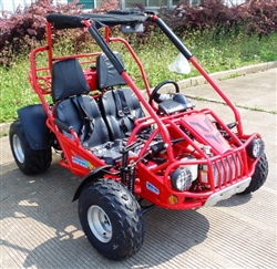 300cc Go Kart CVT EFI Fully Automatic 17.4 HP w/ Reverse - 300XRS-E