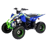 125cc Atv Fully Automatic w/Reverse ATV Four Wheeler - PENTORA-125CC