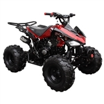 125cc Coolster Atv Semi Automatic Mid Size Quad With Big 19"/18" Tires! - ATV-3125C-2