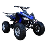 175CC Coolster ATV Fully Automatic Full Sized Sport ATV - ATV-3175S