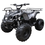 125cc Four Wheeler Coolster 125cc Fully Automatic Mid Size ATV Four Wheeler w/ Large 19" Tires - ATV-3125XR8-U