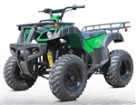 200cc ATV Big Fully Automatic With Reverse! - TK200ATV-C5 Utility Version!