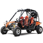 200 Go Kart Big 170cc Go Cart Adult Full Size 4 Seater Dune Buggy - DF200 GHA
