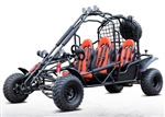 200cc Size Big Go Kart 4-Seater 169cc Off-Road Fully Automatic - DF200GKE