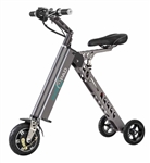 250 Watt Portable & Foldable Light-Weight Electric GyroTricycle with Lithium-Ion Battery - GCY8X1GR