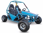 150cc E-Walk Go Kart Dune Buggy