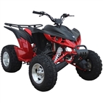 200cc ATV 4 Stroke Single Cylinder Liquid Cooled ATV - MDL200ASG-1