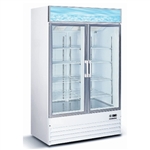 Commercial 50" Glass Double Door Reach In Freezer Ice Merchandiser Machine