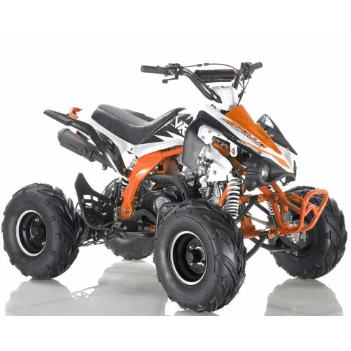 125cc 4 Stroke Single Cyclinder Automatic Sport ATV - ATV-120-125