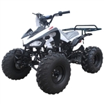 Tao Tao 110cc Atv Cheetah Midsize ATV Fully Auto W/Reverse & Big 19"/18" Wheels! - G110 CHEETAH