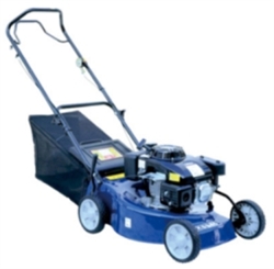 6 HP Gas 19" Walk Behind Push Lawn Mower