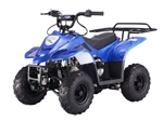 110cc Atv Quad Boulder Sport ATV 4 Wheeler